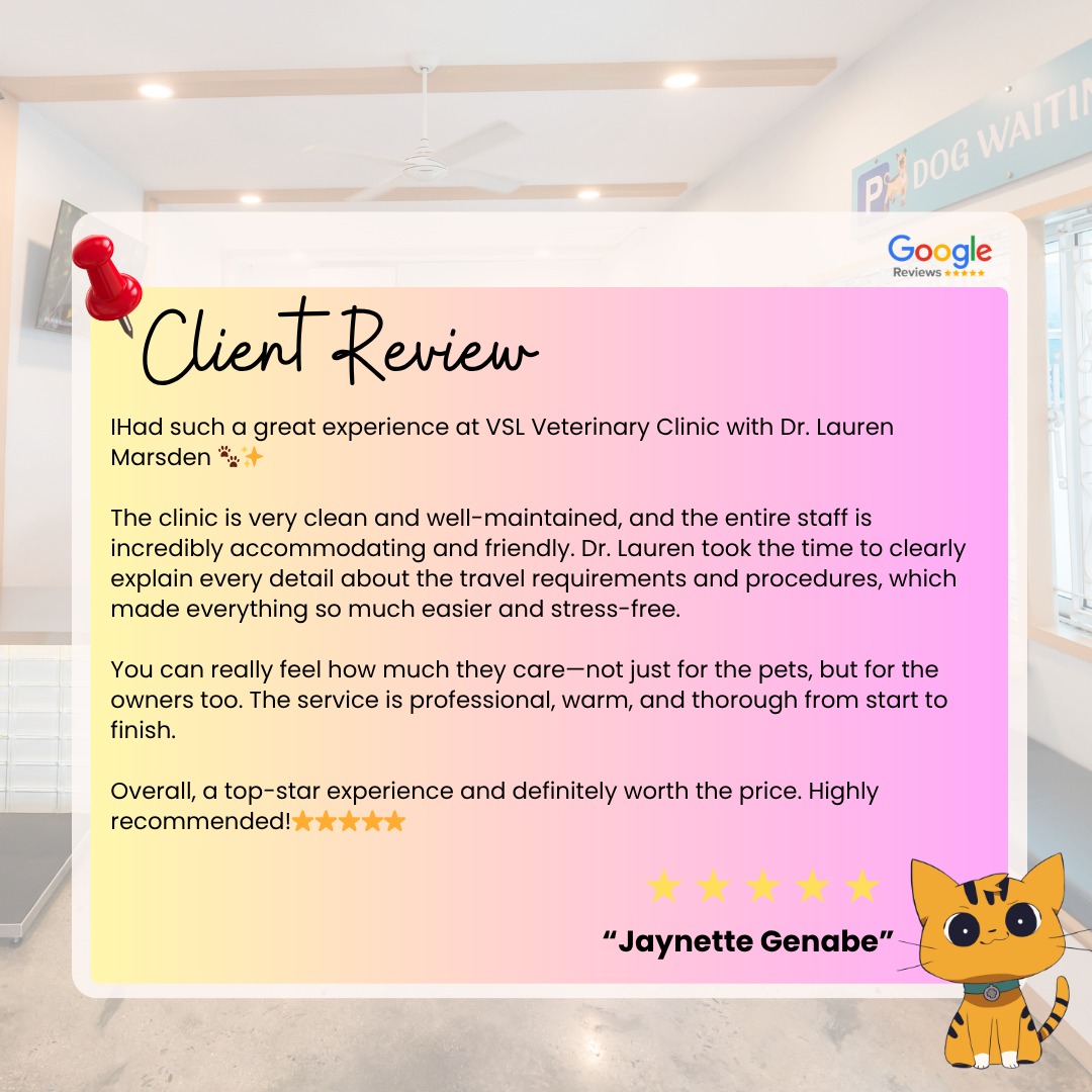 ✨ Client Review Spotlight ✨We’re so grateful for kind words like these! 💛 At VSL Veterinary Clinic, we’re committed to making every visit as smooth, informative, and stress-free as possiblefor both pets and their humans. 🐾Thank you, Jaynette, for trusting us with your pet’s care and for sharing your experience with Dr. Lauren and our team!Your support means the world to us. 🌟🌟🌟🌟🌟🔖Book your appointment:
🔗Link: https://ap-booking.vetstoria.com/booking/66b5d69745c87/?r=6
📞Phone: 023-986-640
📲WhatsApp: 017 464 681
📲Telegram: https://t.me/VSLveterinaryclinic
📍Visit us in BKK1: https://share.google/pglZkQrmunrFuLRKX
📱Join our VSL Telegram group: https://t.me/+5d7K4kN3Y0ljZTEy~~~~
✨ ការលើកសរសើរពីមតិអតិថិជន ✨យើងមានការដឹងគុណយ៉ាងខ្លាំងចំពោះពាក្យសរសើរដ៏កក់ក្តៅបែបនេះ! 💛 នៅ VSL Veterinary Clinic យើងខិតខំធ្វើឲ្យរាល់ការមកទស្សនាក្លាយជាបទពិសោធន៍ដែលរលូន ផ្តល់ព័ត៌មានច្បាស់លាស់ និងគ្មានស្ត្រេស សម្រាប់ទាំងសត្វចិញ្ចឹម និងម្ចាស់របស់ពួកគេ 🐾សូមអរគុណ Jaynette ដែលបានជឿទុកចិត្តលើយើងក្នុងការថែទាំសត្វចិញ្ចឹមរបស់អ្នក និងចែករំលែកបទពិសោធន៍ជាមួយ Dr. Lauren និងក្រុមការងាររបស់យើង!ការគាំទ្ររបស់អ្នក មានន័យយ៉ាងខ្លាំងសម្រាប់ពួកយើង 🌟🌟🌟🌟🌟🔖 កក់ពេលជួបរបស់អ្នក៖
🔗 តំណភ្ជាប់: https://ap-booking.vetstoria.com/booking/66b5d69745c87/?r=6
📞 ទូរស័ព្ទ: 023-986-640
📲 WhatsApp:+855 017 464 681
📲Telegram: https://t.me/VSLveterinaryclinic
📍 មកកាន់យើងនៅ BKK1: https://share.google/pglZkQrmunrFuLRKX
📱 ចូលរួមក្រុម VSL Telegram របស់យើង: https://t.me/+5d7K4kN3Y0ljZTEy