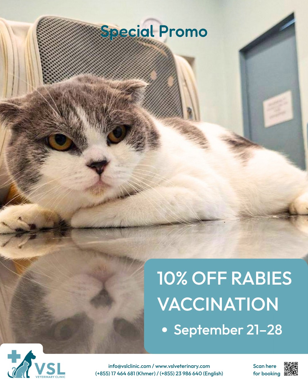 In celebration of World Rabies Day on September 28, VSL Veterinary Clinic is offering a special limited-time promotion to help keep your beloved pets protected! 🐶🐱💙
💉 10% OFF RABIES VACCINATION
📅 September 21–28Rabies is a serious and potentially fatal disease, but it is preventable through vaccination. Keeping your pet’s rabies vaccination up to date is an important step in protecting not only your furry family member, but also your family and our community. 🐾Don’t miss this limited-time World Rabies Day offer!
Give your pet the protection they deserve. 💙
Promo Period: September 21–28
10% OFF Rabies VaccinationFor more information about rabies, please visit  @WVS Cambodia/Animal Rescue Cambodia website or click the link below:
https://wvscambodia.org/en/rabies🔖Book your appointment:
🔗Link: https://ap-booking.vetstoria.com/booking/66b5d69745c87/?r=6
📞Phone: 023-986-640
📲WhatsApp: 017 464 681
📲Telegram: https://t.me/VSLveterinaryclinic
📍Visit us in BKK1: https://share.google/pglZkQrmunrFuLRKX
📱Join our VSL Telegram group: https://t.me/+5d7K4kN3Y0ljZTEy~~~~🐶🐱💙 អបអរសាទរទិវាពិភពលោកប្រយុទ្ធប្រឆាំងជំងឺឆ្កែឆ្កួត (World Rabies Day) — ថ្ងៃទី 28 ខែកញ្ញា!ដើម្បីចូលរួមអបអរសាទរ World Rabies Day នៅថ្ងៃទី 28 ខែកញ្ញា VSL Veterinary Clinic មានកម្មវិធីពិសេសក្នុងរយៈពេលកំណត់ ដើម្បីជួយការពារសត្វចិញ្ចឹមជាទីស្រឡាញ់របស់អ្នក! 🐶🐱💙💉 បញ្ចុះតម្លៃ 10% លើការចាក់វ៉ាក់សាំងជំងឺឆ្កែឆ្កួត (Rabies Vaccination)
📅 ចាប់ពីថ្ងៃទី 21–28 ខែកញ្ញាជំងឺឆ្កែឆ្កួត (Rabies) គឺជាជំងឺធ្ងន់ធ្ងរ និងអាចបណ្តាលឱ្យស្លាប់បាន។ ប៉ុន្តែជំងឺនេះអាចការពារបានតាមរយៈការចាក់វ៉ាក់សាំង។ ការរក្សាវ៉ាក់សាំងការពារជំងឺឆ្កែឆ្កួតរបស់សត្វចិញ្ចឹមឱ្យបានទាន់ពេល គឺជាជំហានដ៏សំខាន់ក្នុងការការពារមិនត្រឹមតែសមាជិកគ្រួសាររោមរបស់អ្នកប៉ុណ្ណោះទេ ប៉ុន្តែថែមទាំងគ្រួសាររបស់អ្នក និងសហគមន៍របស់យើងផងដែរ។ 🐾💙⏰ កុំឱ្យខកខានកម្មវិធីពិសេស World Rabies Day ក្នុងរយៈពេលកំណត់នេះ!ផ្តល់ការការពារដែលសត្វចិញ្ចឹមរបស់អ្នកសមនឹងទទួលបាន។ 💙🐾📅 រយៈពេលកម្មវិធី៖ ថ្ងៃទី 21–28 ខែកញ្ញា
💉 បញ្ចុះតម្លៃ 10% លើការចាក់វ៉ាក់សាំងជំងឺឆ្កែឆ្កួត📚 សម្រាប់ព័ត៌មានបន្ថែមអំពីជំងឺឆ្កែឆ្កួត សូមចូលទៅកាន់គេហទំព័រ WVS Cambodia / Animal Rescue Cambodia ឬចុចលើតំណខាងក្រោម៖ព័ត៌មានអំពីជំងឺឆ្កែឆ្កួត – WVS Cambodia