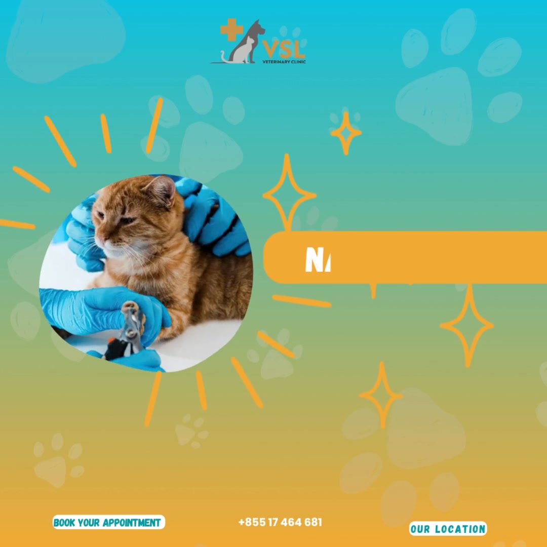 🐾 This April Treat your furry friend to an exclusive spa day at VSL! 🐱✨
For just $9.50, your cat will enjoy treatments valued at $46.40:
✨Nail clipping
✨Ear cleaning
✨Brushing
✨Eye cleaning
✨Booty beauty (if needed)
✨Light grooming (trimming only)
✨Plus a free yummy Waldo creamy treat & Petsense cod crunch!*Our team prioritizes your cat’s comfort and safety. Grooming may be declined if your cat feels stressed or becomes aggressive.Give your kitty the pampering they deserve 💖
🔖Book your appointment:
🔗Link: https://ap-booking.vetstoria.com/booking/66b5d69745c87/?r=6
📞Phone: 023-986-640
📲WhatsApp: 017 464 681
📲Telegram: https://t.me/VSLveterinaryclinic
📍Visit us in BKK1: https://share.google/pglZkQrmunrFuLRKX
📱Join our VSL Telegram group: https://t.me/+5d7K4kN3Y0ljZTEy~~~~🐾 ខែមេសានេះ សូមអញ្ជើញផ្តល់ការថែទាំពិសេសដល់ឆ្មារបស់អ្នកនៅ VSL! 🐱✨ត្រឹមតែ $9.50 ប៉ុណ្ណោះ ឆ្មារបស់អ្នកនឹងទទួលបានសេវាដែលមានតម្លៃរហូតដល់ $46.40៖✨ កាត់ក្រចក
✨ សម្អាតត្រចៀក
✨ ដុសរោម
✨ សម្អាតភ្នែក
✨ សម្អាតបាត (បើចាំបាច់)
✨ កាត់រោមស្រាល (trimming ប៉ុណ្ណោះ)🎁 បន្ថែមជាមួយអាហារសម្រន់ឥតគិតថ្លៃ Waldo creamy treat និង Petsense cod crunch!*ក្រុមការងាររបស់យើងផ្តល់អាទិភាពដល់សុវត្ថិភាព និងភាពសុខស្រួលរបស់ឆ្មា។ សេវាអាចត្រូវបានបដិសេធ ប្រសិនបើឆ្មាមានភាពតានតឹង ឬមានអាកប្បកិរិយាខ្លាំង។💖 ផ្តល់ការថែទាំដ៏ល្អបំផុតដល់ឆ្មារបស់អ្នកថ្ងៃនេះ!*
🔖 កក់ពេលជួបរបស់អ្នក៖
🔗 តំណភ្ជាប់: https://ap-booking.vetstoria.com/booking/66b5d69745c87/?r=6
📞 ទូរស័ព្ទ: 023-986-640
📲 WhatsApp:+855 017 464 681
📲Telegram: https://t.me/VSLveterinaryclinic
📍 មកកាន់យើងនៅ BKK1: https://share.google/pglZkQrmunrFuLRKX
📱 ចូលរួមក្រុម VSL Telegram របស់យើង: https://t.me/+5d7K4kN3Y0ljZTEy