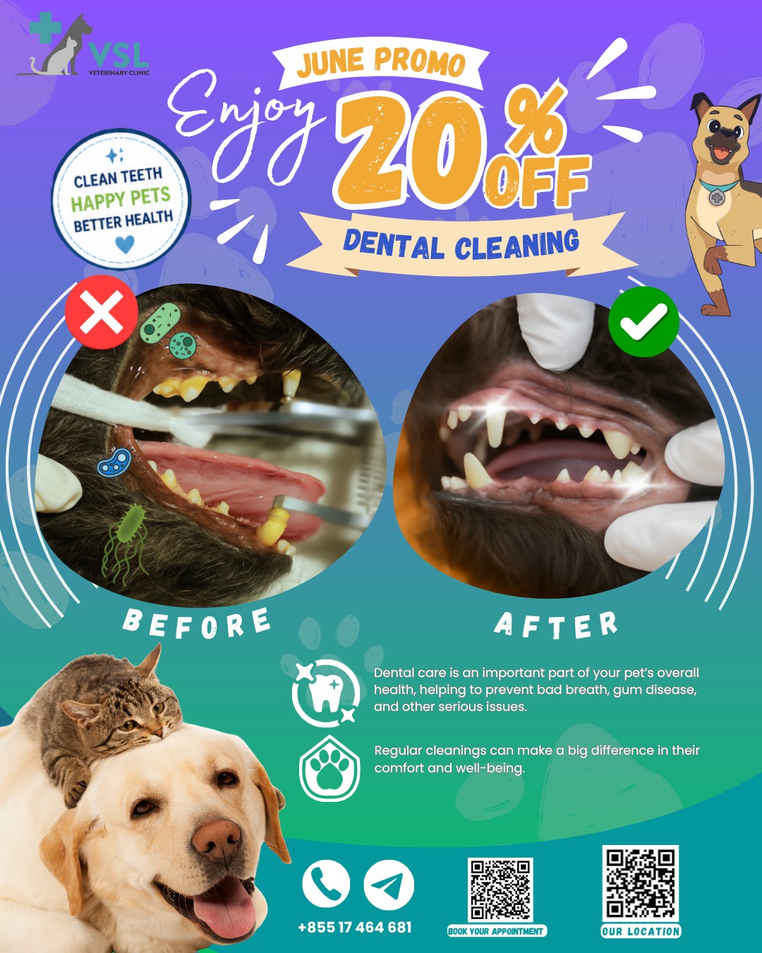 🦷✨ PROMO REMINDER✨🦷
Give your furry friend the gift of a healthy, sparkling smile this June! Enjoy 20% OFF Cat Dental and Dog Dental cleanings for a limited time.Regular dental care helps prevent:
🐾 Bad breath
🐾 Plaque and tartar buildup
🐾 Gum disease
🐾 Other dental-related health issuesA healthy mouth contributes to your pet’s overall well-being, comfort, and happiness.📅 Book your pet’s dental appointment today and take advantage of this special June offer!Promotion Terms: The 20% discount applies exclusively to the Cat Dental and Dog Dental procedures. Tooth extractions, medications, diagnostic tests, and any additional treatments or services are not included in this promotion.🔖Book your appointment:
🔗Link: https://ap-booking.vetstoria.com/booking/66b5d69745c87/?r=6
📞Phone: 023-986-640
📲WhatsApp: 017 464 681
📲Telegram: https://t.me/VSLveterinaryclinic
📍Visit us in BKK1: https://share.google/pglZkQrmunrFuLRKX
📱Join our VSL Telegram group: https://t.me/+5d7K4kN3Y0ljZTEy~~~~🦷✨ សូមរំលឹកពីប្រូម៉ូសិនពិសេសប្រចាំខែមិថុនា! ✨🦷ផ្តល់អំណោយជាស្នាមញញឹមស្អាត និងសុខភាពមាត់ធ្មេញល្អដល់សត្វចិញ្ចឹមរបស់អ្នកក្នុងខែមិថុនានេះ! 🐾
ទទួលបាន បញ្ចុះតម្លៃ 20% លើសេវា សម្អាតធ្មេញសម្រាប់ឆ្មា និងសត្វឆ្កែ ក្នុងរយៈពេលកំណត់។ការថែទាំធ្មេញជាប្រចាំ ជួយការពារ៖
🐾 ក្លិនមាត់មិនល្អ
🐾 កំណកកំបោរ និងកំណកធ្មេញ
🐾 ជំងឺអញ្ចាញធ្មេញ
🐾 បញ្ហាសុខភាពផ្សេងៗដែលពាក់ព័ន្ធនឹងមាត់ធ្មេញ💙 មាត់ធ្មេញដែលមានសុខភាពល្អ គឺជាផ្នែកសំខាន់នៃសុខភាពទូទៅ ផាសុកភាព និងសុភមង្គលរបស់សត្វចិញ្ចឹមអ្នក។📅 កក់ពេលវេលាសម្អាតធ្មេញសម្រាប់សត្វចិញ្ចឹមរបស់អ្នកថ្ងៃនេះ និងទាញយកអត្ថប្រយោជន៍ពីប្រូម៉ូសិនពិសេសប្រចាំខែមិថុនានេះ!📌 លក្ខខណ្ឌប្រូម៉ូសិន៖
ការបញ្ចុះតម្លៃ 20% អនុវត្តតែសម្រាប់សេវា Cat Dental និង Dog Dental ប៉ុណ្ណោះ។ ការដកធ្មេញ ថ្នាំពេទ្យ ការធ្វើតេស្តវិនិច្ឆ័យ និងការព្យាបាល ឬសេវាកម្មបន្ថែមផ្សេងៗ មិនត្រូវបានរាប់បញ្ចូលក្នុងប្រូម៉ូសិននេះទេ។