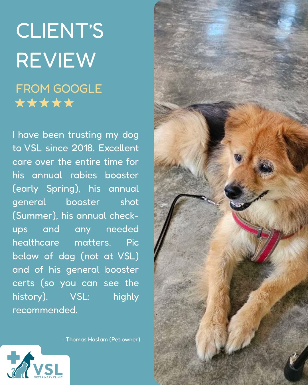 🌟 Client Review Spotlight! 🌟Years of trust, care, and happy tails! 🐾💙 Thank you, Thomas, for choosing VSL and for your kind recommendation. We’re honored to care for your furry family member! 🐶🔖Book your appointment:
🔗Link: https://ap-booking.vetstoria.com/booking/66b5d69745c87/?r=6
📞Phone: 023-986-640
📲WhatsApp: 017 464 681
📲Telegram: https://t.me/VSLveterinaryclinic
📍Visit us in BKK1: https://share.google/pglZkQrmunrFuLRKX
📱Join our VSL Telegram group: https://t.me/+5d7K4kN3Y0ljZTEy🌟 Client Review Spotlight! 🌟🐾💙 អរគុណសម្រាប់ការជឿទុកចិត្ត និងការគាំទ្ររបស់អ្នកអស់រយៈពេលជាច្រើនឆ្នាំ!សូមអរគុណ Thomas ដែលបានជ្រើសរើស VSL Veterinary Clinic និងសម្រាប់ការណែនាំដ៏កក់ក្តៅរបស់អ្នក។ 💙យើងមានកិត្តិយស និងសេចក្តីរីករាយដែលបានក្លាយជាផ្នែកមួយនៃការថែទាំសមាជិកគ្រួសាររោមរបស់អ្នក។ 🐶🐱សម្រាប់យើង ការជឿទុកចិត្តរបស់អ្នក គឺជាកម្លាំងចិត្តឱ្យយើងបន្តផ្តល់ការថែទាំប្រកបដោយក្តីស្រឡាញ់ និងយកចិត្តទុកដាក់ជារៀងរាល់ថ្ងៃ។ 🐾💙អរគុណដែលបានជឿទុកចិត្តលើ VSL! ✨🔖 កក់ពេលជួបរបស់អ្នក៖
🔗 តំណភ្ជាប់: https://ap-booking.vetstoria.com/booking/66b5d69745c87/?r=6
📞 ទូរស័ព្ទ: 023-986-640
📲 WhatsApp:+855 017 464 681
📲Telegram: https://t.me/VSLveterinaryclinic
📍 មកកាន់យើងនៅ BKK1: https://share.google/pglZkQrmunrFuLRKX
📱 ចូលរួមក្រុម VSL Telegram របស់យើង: https://t.me/+5d7K4kN3Y0ljZTEy