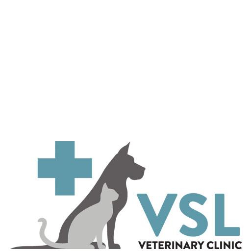 Home - VSL Veterinary Clinic