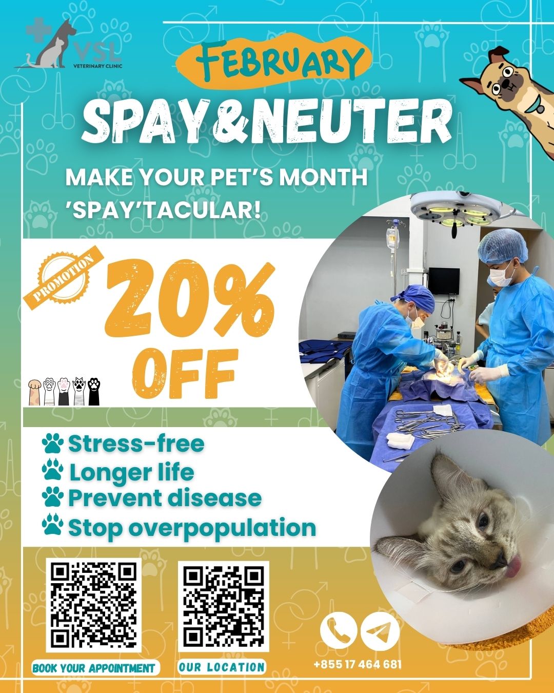 February marks Global Spay/Neuter Awareness Month, a time to support responsible pet care.February Spay & Neuter Promo – Save 20%
Spaying or neutering your pet helps prevent unwanted puppies and kittens and offers long-term health and behavior benefitsFEBRUARY OFFER
20% off spay/neuter surgery at VSL (save up to $73)
Cats: $226.60
Dogs: $291.50 - $363.00READY TO BOOK?
🔗Link: https://ap-booking.vetstoria.com/booking/66b5d69745c87/?r=6
📞Phone: 023-986-640
📲WhatsApp: 017 464 681
📲Telegram: https://t.me/VSLveterinaryclinic
📍Visit us in BKK1: https://share.google/pglZkQrmunrFuLRKX
📱Join our VSL Telegram group: https://t.me/+5d7K4kN3Y0ljZTEy~~~~~ខែកុម្ភៈ គឺជា ខែជាតិសម្រាប់ការយល់ដឹងអំពីការវះកាត់បង្ការ (Spay/Neuter Awareness Month) ដែលជាពេលវេលាសំខាន់ក្នុងការគាំទ្រការថែទាំសត្វចិញ្ចឹមដោយមានទំនួលខុសត្រូវ។🌸 ប្រូម៉ូសិន Spay & Neuter ខែកុម្ភៈ – បញ្ចុះតម្លៃ 20% 🌸
ការវះកាត់បង្ការជួយទប់ស្កាត់ការកើតមានកូនឆ្កែ និងកូនឆ្មាដោយមិនបានគ្រោងទុក ហើយផ្តល់អត្ថប្រយោជន៍រយៈពេលវែងទាំងផ្នែកសុខភាព និងឥរិយាបថ។ការផ្តល់ជូនពិសេសក្នុងខែកុម្ភៈ
✨ បញ្ចុះតម្លៃ 20% លើសេវាវះកាត់ Spay/Neuter នៅ VSL (សន្សំបានដល់ $73)
🐱 ឆ្មា៖ $226.60
🐶 ឆ្កែ៖ $291.50 – $363.00👉 ត្រៀមខ្លួនកក់សេវាហើយឬនៅ?
🔗 តំណភ្ជាប់: https://ap-booking.vetstoria.com/booking/66b5d69745c87/?r=6
📞 ទូរស័ព្ទ: 023-986-640
📲 WhatsApp:+855 017 464 681
📲Telegram: https://t.me/VSLveterinaryclinic
📍 មកកាន់យើងនៅ BKK1: https://share.google/pglZkQrmunrFuLRKX
📱 ចូលរួមក្រុម VSL Telegram របស់យើង: https://t.me/+5d7K4kN3Y0ljZTE