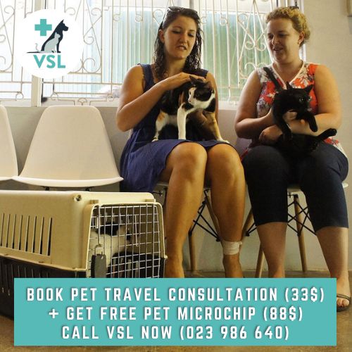 🗺️ January 2023: Pet Relocation Promotion  New Year. New Horizons. New Places. New Faces. 😻  In 2022, VSL successfully facilitated 🌟 103 pet relocations (cats/dogs) 🌟 to 29 destinations around the world - from the EU to China, Fiji, and Kyrgyzstan. ✈️  JANUARY 2023 PROMOTION  🔹 Book your pet travel consultation (33$) 
🔹 Get FREE pet microchipping (88$ value)  VSL OFFERS  🔸 Consultation on necessary steps for pet travel/relocation
🔸 Rabies vaccinations, rabies antibody titration test
🔸 Tapeworm treatment (dogs)
🔸 Provision of required paperwork/documentation (export permit, etc.)
🔸 Provision of crates and travel accessories
🔸 Flight arrangements  Book your pet relocation consultation (023 986 640).  #pets #cats #dogs #pettravel #petrelocation #veterinaryservices #VSLveterinaryclinic #vetservices