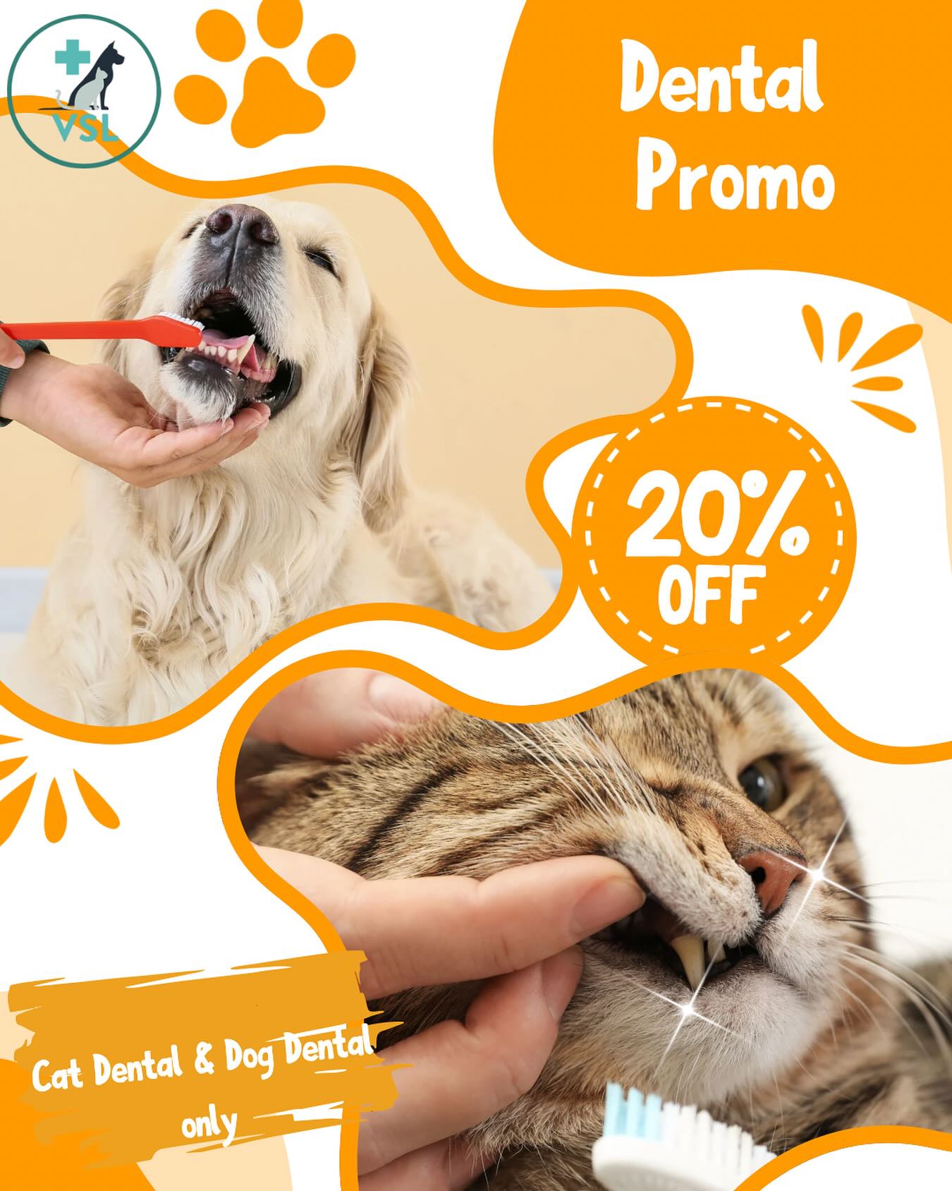 🦷 Enjoy 20% off dental cleanings in June.
This June, give your pet the gift of a healthier smile with 20% off all dental cleanings. Dental care is an important part of your pet’s overall health, helping to prevent bad breath, gum disease, and other serious issues. Regular cleanings can make a big difference in their comfort and well-being. Take advantage of this limited-time offer and book your pet’s dental appointment today!
Please note: The 20% discount applies only to the “Cat Dental” or “Dog Dental” procedure. Tooth extractions, medications, and any additional treatments are not included in the promotion.
~~~~~~🦷 រីករាយជាមួយការបញ្ចុះតម្លៃ 20% ការសម្អាតធ្មេញក្នុងខែមិថុនា។
ខែមិថុនានេះ ផ្តល់ឱ្យសត្វចិញ្ចឹមរបស់អ្នកនូវស្នាមញញឹមដែលមានសុខភាពល្អជាមួយនឹងការបញ្ចុះតម្លៃ 20% លើការសម្អាតធ្មេញទាំងអស់។ ការថែទាំមាត់ធ្មេញគឺជាផ្នែកមួយដ៏សំខាន់នៃសុខភាពទូទៅរបស់សត្វចិញ្ចឹមរបស់អ្នក ជួយការពារក្លិនមាត់មិនល្អ ជំងឺអញ្ចាញធ្មេញ និងបញ្ហាធ្ងន់ធ្ងរផ្សេងទៀត។ ការសម្អាតជាទៀងទាត់អាចធ្វើឱ្យមានភាពខុសប្លែកគ្នាយ៉ាងខ្លាំងនៅក្នុងការលួងលោម និងសុខុមាលភាពរបស់ពួកគេ។ ទាញយកអត្ថប្រយោជន៍ពីការផ្តល់ជូនពេលវេលាមានកំណត់នេះ ហើយកក់ការណាត់ជួបធ្មេញរបស់សត្វចិញ្ចឹមរបស់អ្នកនៅថ្ងៃនេះ!
សូមចំណាំ៖ ការបញ្ចុះតម្លៃ 20% អនុវត្តចំពោះនីតិវិធី “ធ្មេញឆ្មា” ឬ “ធ្មេញឆ្កែ” ប៉ុណ្ណោះ។ ការដកធ្មេញ ថ្នាំ និងការព្យាបាលបន្ថែមណាមួយ មិនត្រូវបានរាប់បញ្ចូលក្នុងការបញ្ចុះតម្លៃនោះទេ។💡Book your appointment/កក់ការណាត់ជួប
📎Link: https://vet.lc/8emkst
📞 Tel/ទូរស័ព្ទ៖ ០២៣-៩៨៦-៦៤០
📱 WhatsApp/Telegram: 017-464-681
📍 មកមើលនៅបឹងកេងកង១ ផ្ទះលេខ 33 ផ្លូវ 334 (កែងផ្លូវ 63)👉 Join our VSL Telegram group: https://t.me/+5d7K4kN3Y0ljZTEy 👈
#veterinaryhospital #veterinary #cat #VetClinic #VetServices #VeterinaryServices #VetClinicLife #Pets #VSLVeterinaryClinic #PhnomPenhLife #PetLifeCambodia #VeterinaryExperts #InternationalVeterinarians #vetphnompenh #cat #dog #petloversphnompenh