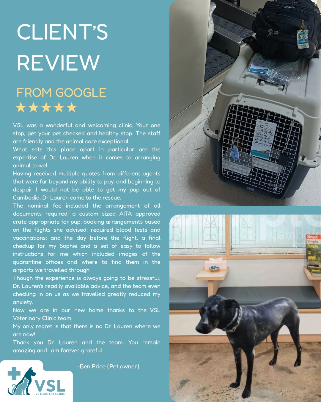 ⭐Client Review Spotlight ⭐
We’re proud to share kind words from our wonderful clients. 💙 Thank you for trusting VSL Veterinary Clinic with the care and journeys of your beloved pets. 🐾🔖Book your appointment:
🔗Link: https://ap-booking.vetstoria.com/booking/66b5d69745c87/?r=6
📞Phone: 023-986-640
📲WhatsApp: 017 464 681
📲Telegram: https://t.me/VSLveterinaryclinic
📍Visit us in BKK1: https://share.google/pglZkQrmunrFuLRKX
📱Join our VSL Telegram group: https://t.me/+5d7K4kN3Y0ljZTEy⭐ Client Review Spotlight ⭐ពួកយើងមានមោទនភាព និងរីករាយដែលបានចែករំលែកពាក្យសរសើរ និងមតិយោបល់ដ៏កក់ក្តៅពីអតិថិជនជាទីស្រឡាញ់របស់យើង។ 💙សូមអរគុណយ៉ាងជ្រាលជ្រៅ ដែលបានជឿទុកចិត្តលើ VSL Veterinary Clinic ក្នុងការថែទាំ និងជួយសម្របសម្រួលដំណើររបស់សត្វចិញ្ចឹមជាទីស្រឡាញ់របស់អ្នក។ 🐾🥰ការជឿទុកចិត្តរបស់អ្នក មានន័យយ៉ាងខ្លាំងចំពោះក្រុមការងាររបស់យើង! 💙🐾🔖 កក់ពេលជួបរបស់អ្នក៖
🔗 តំណភ្ជាប់: https://ap-booking.vetstoria.com/booking/66b5d69745c87/?r=6
📞 ទូរស័ព្ទ: 023-986-640
📲 WhatsApp:+855 017 464 681
📲Telegram: https://t.me/VSLveterinaryclinic
📍 មកកាន់យើងនៅ BKK1: https://share.google/pglZkQrmunrFuLRKX
📱 ចូលរួមក្រុម VSL Telegram របស់យើង: https://t.me/+5d7K4kN3Y0ljZTEy