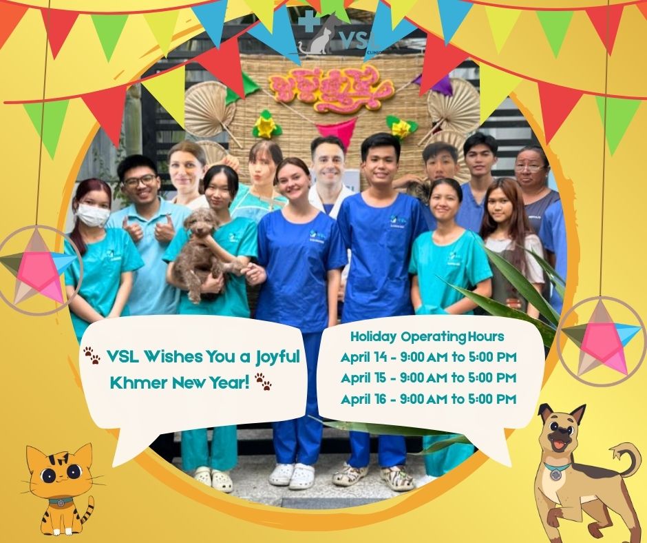 🐾 VSL Wishes You a Joyful Khmer New Year! 🐾
As the vibrant celebrations of Khmer New Year begin, bringing families together with laughter, love, and new beginnings, VSL Veterinary Clinic is delighted to send our warmest wishes to you and your loved ones! 🎉May this beautiful New Year fill your home with happiness, your days with good health, and your hearts with prosperity along with lots of tail wags and purrs from your beloved pets! ✨ 🐶🐱📅 Holiday Operating Hours
🕘 April 14 – 9:00 AM to 5:00 PM
🕘 April 15 – 9:00 AM to 5:00 PM
🕘 April 16 – 9:00 AM to 5:00 PMNo matter the occasion, our caring and dedicated team is here for you whether it’s trusted veterinary care or pet relocation support so you can celebrate with peace of mind. 💛
Contact us today let’s keep your furry family members happy, healthy, and full of joy this New Year! 🐾🔖Book your appointment:
🔗Link: https://ap-booking.vetstoria.com/booking/66b5d69745c87/?r=6
📞Phone: 023-986-640
📲WhatsApp: 017 464 681
📲Telegram: https://t.me/VSLveterinaryclinic
📍Visit us in BKK1: https://share.google/pglZkQrmunrFuLRKX
📱Join our VSL Telegram group: https://t.me/+5d7K4kN3Y0ljZTEy~~~~🐾 VSL សូមជូនពរអ្នកក្នុងឱកាសបុណ្យចូលឆ្នាំខ្មែរ! 🐾នៅពេលពិធីបុណ្យចូលឆ្នាំខ្មែរ ដ៏រីករាយចាប់ផ្តើម នាំមកនូវការជួបជុំគ្រួសារ ពោរពេញដោយសំណើច សេចក្តីស្រឡាញ់ និងការចាប់ផ្តើមថ្មីៗ VSL Veterinary Clinic សូមផ្ញើក្តីជូនពរដ៏កក់ក្តៅបំផុតដល់អ្នក និងគ្រួសាររបស់អ្នក! 🎉✨ សូមឲ្យឆ្នាំថ្មីនេះ នាំមកនូវសុភមង្គលទៅកាន់គ្រួសាររបស់អ្នក សុខភាពល្អក្នុងរាល់ថ្ងៃ និងភាពរុងរឿងក្នុងបេះដូង រួមទាំងសម្លេងកន្ទុយក្រឡាប់ និងសម្លេងខ្យល់ពីសត្វសំណព្វរបស់អ្នក 🐶🐱📅 ម៉ោងបើកដំណើរការក្នុងថ្ងៃបុណ្យ
🕘 ថ្ងៃទី 14 មេសា – 9:00 ព្រឹក ដល់ 5:00 ល្ងាច
🕘 ថ្ងៃទី 15 មេសា – 9:00 ព្រឹក ដល់ 5:00 ល្ងាច
🕘 ថ្ងៃទី 16 មេសា – 9:00 ព្រឹក ដល់ 5:00 ល្ងាច💛 មិនថាជាឱកាសណាក៏ដោយ ក្រុមការងារដែលមានការយកចិត្តទុកដាក់ និងជំនាញរបស់យើង តែងតែមាននៅទីនេះសម្រាប់អ្នក ទាំងសេវាពេទ្យសត្វដែលអាចទុកចិត្តបាន និងសេវាដឹកជញ្ជូនសត្វចិញ្ចឹម ដើម្បីឲ្យអ្នកអាចអបអរបានដោយសុខចិត្ត។📞 ទាក់ទងមកយើងថ្ងៃនេះ ដើម្បីថែរក្សាសមាជិករោមរបស់អ្នកឲ្យមានសុខភាពល្អ សប្បាយរីករាយ និងពោរពេញដោយក្តីស្រឡាញ់ក្នុងឆ្នាំថ្មីនេះ! 🐾