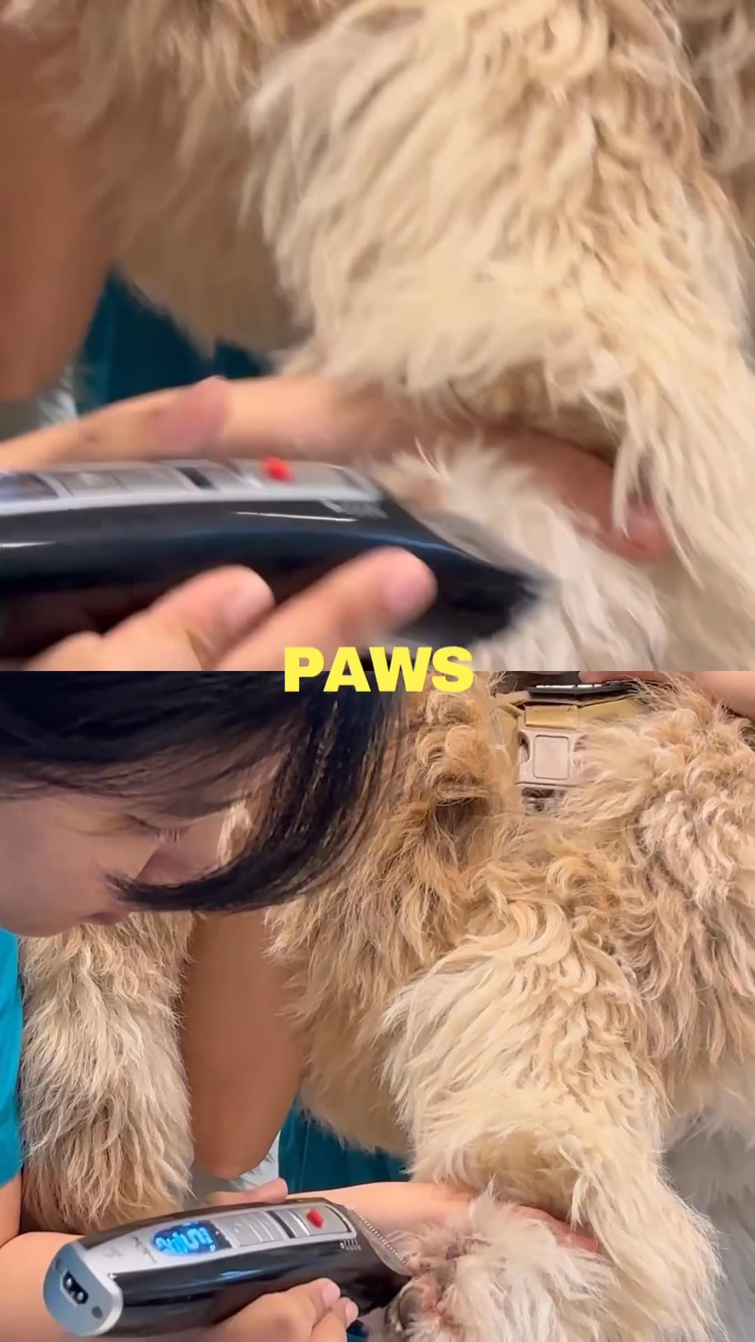 🐾 November Dog Spa Special! Pamper your best friend before November 30
book their spa day now and let them shine! ✨🛁🔖Book your appointment:
🔗Link: https://ap-booking.vetstoria.com/booking/66b5d69745c87/?r=6 📞Phone: 023-986-640
📲WhatsApp/Telegram: 017-464-681
📍Visit us in BKK1: https://share.google/pglZkQrmunrFuLRKX
📱Join our VSL Telegram group: https://t.me/+5d7K4kN3Y0ljZTEy~~~~~🐾 ពិសេសសម្រាប់ខែវិច្ឆិកា សម្រាប់ស្ប៉ាសត្វឆ្កែ! ✨
ផ្តល់ការថែទាំដ៏ពិសេសសម្រាប់មិត្តសត្វស្នេហារបស់អ្នក មុនថ្ងៃទី ៣០ ខែវិច្ឆិកា — កក់ថ្ងៃស្ប៉ារបស់ពួកវាឥឡូវនេះ ហើយឲ្យពួកវាពន្លឺរលោងស្រស់ស្អាត! 🛁🐶🔖 កក់ពេលជួបរបស់អ្នក៖
🔗 តំណភ្ជាប់: https://ap-booking.vetstoria.com/booking/66b5d69745c87/?r=6
📞 ទូរស័ព្ទ: 023-986-640
📲 WhatsApp/Telegram: 017-464-681
📍 មកកាន់យើងនៅ BKK1: https://share.google/pglZkQrmunrFuLRKX
📱 ចូលរួមក្រុម VSL Telegram របស់យើង: https://t.me/+5d7K4kN3Y0ljZTEy