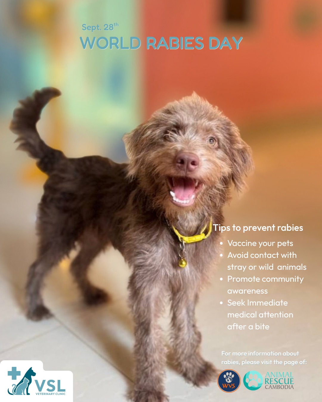 🐾 WORLD RABIES DAY | SEPTEMBER 28 🐾
Protect your pets. Protect your family. Help prevent rabies. 💙🐶🐱
Rabies is a deadly but preventable disease that can affect both animals and people. This World Rabies Day, let’s work together to promote responsible pet ownership, regular vaccination, and greater awareness in our community. ❤️💉 RABIES VACCINATION PROMOTION
✨ 10% OFF RABIES VACCINATION ✨
⏰ LAST DAY TODAY!
Don’t miss this opportunity to protect your beloved pets with their rabies vaccination. A simple vaccination can help save lives. 🐾💙Want to learn more about rabies?
For more information, visit  WVS Cambodia / Animal Rescue Cambodia  website or click the link below:
https://wvscambodia.org/en/rabies🔖Book your appointment:
🔗Link: https://ap-booking.vetstoria.com/booking/66b5d69745c87/?r=6
📞Phone: 023-986-640
📲WhatsApp: 017 464 681
📲Telegram: https://t.me/VSLveterinaryclinic
📍Visit us in BKK1: https://share.google/pglZkQrmunrFuLRKX
📱Join our VSL Telegram group: https://t.me/+5d7K4kN3Y0ljZTEy~~~~🐾 WORLD RABIES DAY | ថ្ងៃទី 28 ខែកញ្ញា 🐾ការពារសត្វចិញ្ចឹមរបស់អ្នក។ ការពារគ្រួសាររបស់អ្នក។ រួមគ្នាការពារជំងឺឆ្កែឆ្កួត។ 💙🐶🐱ជំងឺឆ្កែឆ្កួត (Rabies) គឺជាជំងឺដ៏កាចសាហាវដែលអាចបណ្តាលឱ្យស្លាប់បាន ប៉ុន្តែអាចការពារបាន ហើយអាចប៉ះពាល់ទាំងសត្វ និងមនុស្ស។ ក្នុងឱកាស World Rabies Day នេះ យើងមករួមគ្នាលើកកម្ពស់ការចិញ្ចឹមសត្វដោយមានការទទួលខុសត្រូវ ការចាក់វ៉ាក់សាំងជាប្រចាំ និងការយល់ដឹងកាន់តែច្រើននៅក្នុងសហគមន៍របស់យើង។ ❤️💉 កម្មវិធីពិសេសចាក់វ៉ាក់សាំងជំងឺឆ្កែឆ្កួត✨ បញ្ចុះតម្លៃ 10% លើការចាក់វ៉ាក់សាំង Rabies ✨⏰ ថ្ងៃចុងក្រោយ គឺថ្ងៃនេះ!កុំឱ្យខកខានឱកាសការពារសត្វចិញ្ចឹមជាទីស្រឡាញ់របស់អ្នក ដោយការចាក់វ៉ាក់សាំងការពារជំងឺឆ្កែឆ្កួត។ ការចាក់វ៉ាក់សាំងដ៏សាមញ្ញមួយ អាចជួយការពារអាយុជីវិតបាន។ 🐾💙📚 ចង់ស្វែងយល់បន្ថែមអំពីជំងឺឆ្កែឆ្កួត?សម្រាប់ព័ត៌មានបន្ថែម សូមចូលទៅកាន់ WVS Cambodia / Animal Rescue Cambodia ឬចុចតំណខាងក្រោម៖WVS Cambodia – Rabies Information🐾💙 ការពារសត្វចិញ្ចឹមរបស់អ្នកថ្ងៃនេះ ដើម្បីជួយការពារគ្រួសារ និងសហគមន៍របស់យើង។