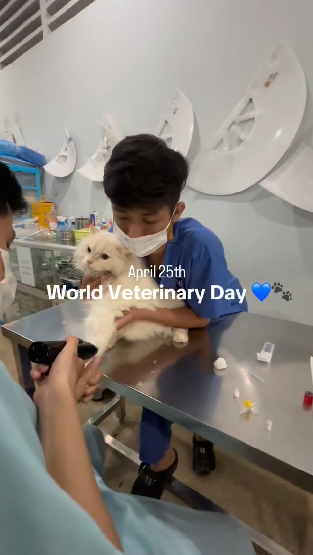 Celebrating World Veterinary Day 🐾🌍Today, we honor the dedication, compassion, and expertise of our incredible team who work tirelessly to care for animals and support the communities that love them.From every check-up to every life saved, your commitment makes a difference every single day. Thank you for being the heart of what we do.Happy World Veterinary Day from all of us at VSL 💙🔖Book your appointment:
🔗Link: https://ap-booking.vetstoria.com/booking/66b5d69745c87/?r=6
📞Phone: 023-986-640
📲WhatsApp: 017 464 681
📲Telegram: https://t.me/VSLveterinaryclinic
📍Visit us in BKK1: https://share.google/pglZkQrmunrFuLRKX
📱Join our VSL Telegram group: https://t.me/+5d7K4kN3Y0ljZTEy~~~~~
🐾🌍 អបអរសាទរ ទិវាពិភពលោកវេជ្ជបណ្ឌិតសត្វ (World Veterinary Day)ថ្ងៃនេះ យើងសូមគោរព និងអបអរសាទរ ចំពោះការខិតខំប្រឹងប្រែង ក្តីមេត្តា និងជំនាញរបស់ក្រុមការងារដ៏អស្ចារ្យរបស់យើង ដែលបានធ្វើការយ៉ាងមិនធ្លាក់ខ្លួន ក្នុងការថែរក្សាសត្វ និងគាំទ្រសហគមន៍ដែលស្រឡាញ់ពួកវា។ចាប់ពីការពិនិត្យសុខភាពរាល់ថ្ងៃ រហូតដល់ការសង្គ្រោះជីវិត រាល់ការប្តេជ្ញាចិត្តរបស់អ្នក បានបង្កើតភាពខុសគ្នារាល់ថ្ងៃ។ សូមអរគុណដែលបានក្លាយជាបេះដូងនៃអ្វីដែលយើងធ្វើ។💙 រីករាយទិវាវេជ្ជបណ្ឌិតសត្វ ពីក្រុម VSL ទាំងអស់គ្នា!🔖 កក់ពេលជួបរបស់អ្នក៖
🔗 តំណភ្ជាប់: https://ap-booking.vetstoria.com/booking/66b5d69745c87/?r=6
📞 ទ�