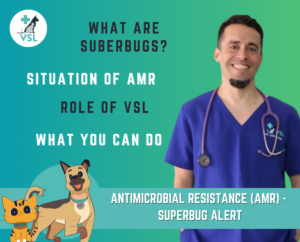 AMR superbugs