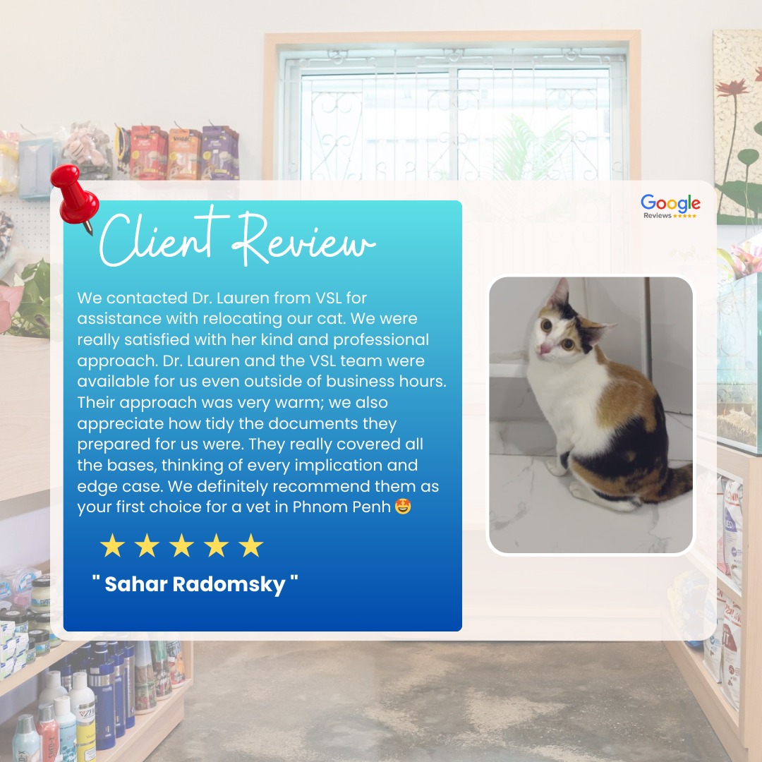 🌟 Client Review Spotlight 🌟We’re always grateful when our amazing clients share their experiences with us.Here’s what  Sahar Radomsky  had to say about us.🔖Book your appointment:
🔗Link: https://ap-booking.vetstoria.com/booking/66b5d69745c87/?r=6
📞Phone: 023-986-640
📲WhatsApp: 017 464 681
📲Telegram: https://t.me/VSLveterinaryclinic
📍Visit us in BKK1: https://share.google/pglZkQrmunrFuLRKX
📱Join our VSL Telegram group: https://t.me/+5d7K4kN3Y0ljZTEy~~~~🌟 ការលើកសរសើរពីមតិអតិថិជន 🌟យើងខ្ញុំមានការដឹងគុណជានិច្ច នៅពេលអតិថិជនដ៏អស្ចារ្យរបស់យើង ចែករំលែកបទពិសោធន៍ជាមួយយើង។
នេះជាមតិដែល Sahar Radomsky បានផ្តល់ជូនអំពីសេវាកម្មរបស់យើង។🔖 កក់ពេលជួបរបស់អ្នក៖
🔗 តំណភ្ជាប់: https://ap-booking.vetstoria.com/booking/66b5d69745c87/?r=6
📞 ទូរស័ព្ទ: 023-986-640
📲 WhatsApp:+855 017 464 681
📲Telegram: https://t.me/VSLveterinaryclinic
📍 មកកាន់យើងនៅ BKK1: https://share.google/pglZkQrmunrFuLRKX
📱 ចូលរួមក្រុម VSL Telegram របស់យើង: https://t.me/+5d7K4kN3Y0ljZTEy