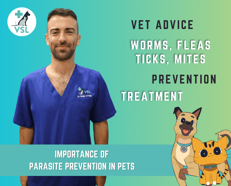 parasite preveion in pets