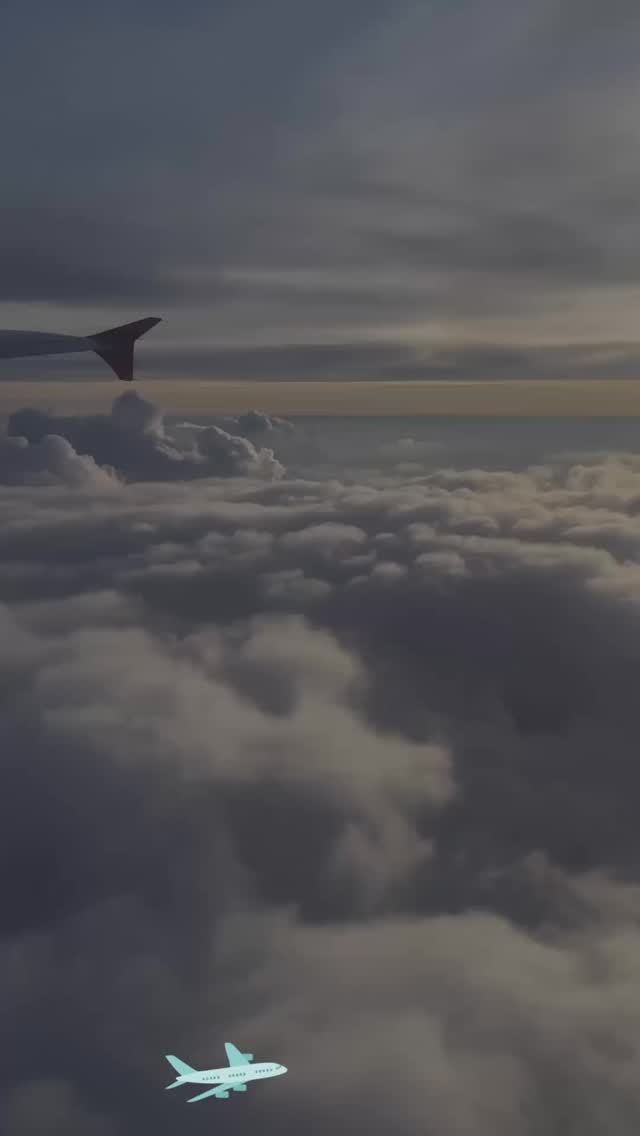 🐾✈️Safe travels, happy reunions 🐾✈️
Broccoli, Corn, Nyx, and Shadow are finally home after a smooth and well-coordinated relocation journey.From careful documentation and flight arrangements, every step was handled with care to ensure their safe arrival.Nothing beats the moment pets reunite with their fur parents ❤️🔖Book your appointment:
🔗Link: https://ap-booking.vetstoria.com/booking/66b5d69745c87/?r=6
📞Phone: 023-986-640
📲WhatsApp: 017 464 681
📲Telegram: https://t.me/VSLveterinaryclinic
📍Visit us in BKK1: https://share.google/pglZkQrmunrFuLRKX
📱Join our VSL Telegram group: https://t.me/+5d7K4kN3Y0ljZTEy~~~~🐾✈️ ធ្វើដំណើរដោយសុវត្ថិភាព ជួបជុំគ្នាវិញដោយសេចក្តីរីករាយ ❤️Broccoli, Corn, Nyx និង Shadow បានទៅដល់ផ្ទះថ្មីរបស់ពួកគេដោយសុវត្ថិភាពហើយ! 🐶🐱ចាប់ពីការរៀបចំឯកសារយ៉ាងម៉ត់ចត់ រហូតដល់ការរៀបចំជើងហោះហើរយ៉ាងរលូន រាល់ជំហានត្រូវបានសម្របសម្រួលដោយការយកចិត្តទុកដាក់ ដើម្បីធានាថាពួកគេធ្វើដំណើរទៅដល់គោលដៅដោយសុវត្ថិភាព។💙 គ្មានអ្វីប្រសើរជាងពេលវេលាដែលសត្វចិញ្ចឹមបានជួបជុំជាមួយម្ចាស់ជាទីស្រឡាញ់របស់ពួកគេវិញនោះទេ។សូមជូនពរឲ្យការចាប់ផ្តើមជីវិតថ្មីរបស់ពួកគេ ពោរពេញដោយសេចក្តីសុខ សុវត្ថិភាព និងក្តីស្រឡាញ់ជានិច្ច! 🐾🔖 កក់ពេលជួបរបស់អ្នក៖
🔗 តំណភ្ជាប់: https://ap-booking.vetstoria.com/booking/66b5d6