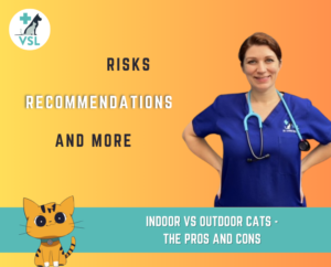 indoor vs outdoor cats