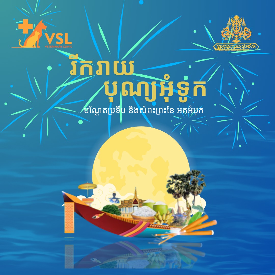 🎉 Happy Cambodian  Water and Moon Festival! 🌊
May the sacred waters and the blessings of nature bring peace, prosperity, and everlasting growth to our beloved nation!🐾 VSL Announcement:
We’ll be open from November 4th to 6th during the Water Festival holidays, operating under regular hours: 9:00 AM – 7:00 PM, to care for the needs of your fur babies. ❤️🔖Book your appointment:
🔗Link: https://ap-booking.vetstoria.com/booking/66b5d69745c87/?r=6 📞Phone: 023-986-640
📲WhatsApp/Telegram: 017-464-681
📍Visit us in BKK1: https://share.google/pglZkQrmunrFuLRKX
📱Join our VSL Telegram group: https://t.me/+5d7K4kN3Y0ljZTEy~~~~~~~~🎉 សួស្តីទិវាបុណ្យអុំទូក បណ្ដែតប្រទីប និងសំពះព្រះខែ! 🌊
សូមអោយទឹកស័ក្ដិសិទ្ធិ និងពរពីធម្មជាតិ បង្កើនសេចក្តីសុខ សេចក្តីរុងរឿង និងការលូតលាស់អស់កល្បជានិច្ចដល់ប្រទេសកម្ពុជារបស់យើង! 🇰🇭✨🐾 សេចក្តីជូនដំណឹងពីគ្លីនិកសត្វ VSL:
ក្នុងអំឡុងពេលបុណ្យអុំទូក (ថ្ងៃទី ៤ ដល់ ៦ វិច្ឆិកា)
យើងនៅតែបើកធ្វើការតាមម៉ោងធម្មតា៖ 🕘 ពីម៉ោង ៩:០០ ព្រឹក ដល់ ៧:០០ ល្ងាច
ដើម្បីថែទាំសត្វជាទីស្រឡាញ់របស់អ្នក។ ❤️🐶🐱🔖 កក់ពេលជួបរបស់អ្នក៖
🔗 តំណភ្ជាប់: https://ap-booking.vetstoria.com/booking/66b5d69745c87/?r=6
📞 ទូរស័ព្ទ: 023-986-640
📲 WhatsApp/Telegram: 017-464-681
📍 មកកាន់យើងនៅ BKK1: https://share.google/pglZkQrmunrFuLRKX
📱 ចូលរួមក្រុម VSL Telegram របស់យើង: https://t.me/+5d7K4kN3Y0ljZTEy