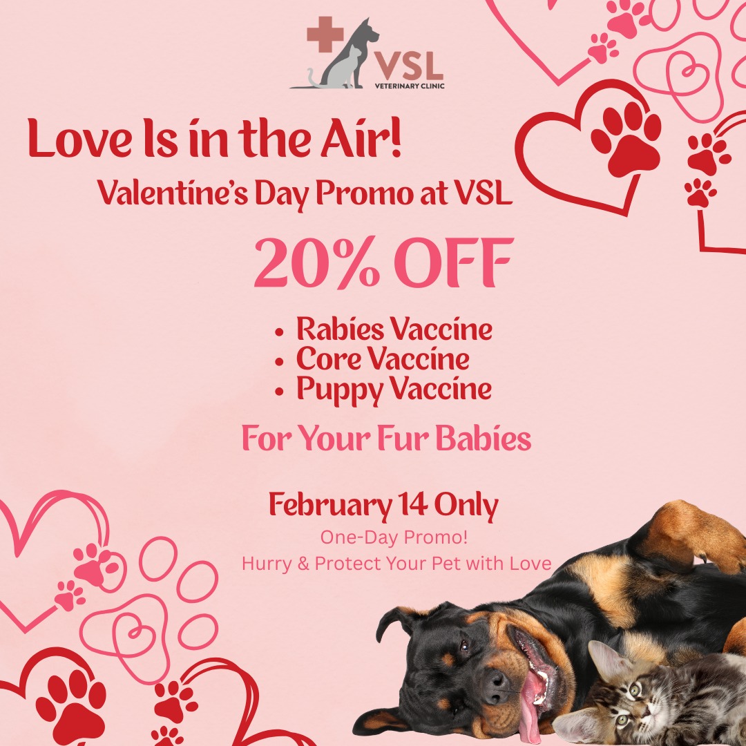 💞 Love is in the air at VSL this Valentine’s Day! 💞
Celebrate February 14 with your fur babies and enjoy 20% OFF on Rabies & Core Vaccinations 🐾❤️✨ Valentine’s Day only!
💘 One-day promo! Hurry and spread the love while it lasts!📅 Limited slots available  book your appointment now!
🔗Link: https://ap-booking.vetstoria.com/booking/66b5d69745c87/?r=6
📞Phone: 023-986-640
📲WhatsApp: 017 464 681
📲Telegram: https://t.me/VSLveterinaryclinic
📍Visit us in BKK1: https://share.google/pglZkQrmunrFuLRKX
📱Join our VSL Telegram group: https://t.me/+5d7K4kN3Y0ljZTEy~~~~~~~~💞 សេចក្តីស្រលាញ់ពោរពេញនៅ VSL សម្រាប់ថ្ងៃ Valentine’s Day! 💞អបអរសាទរ ថ្ងៃទី ១៤ ខែកុម្ភៈ ជាមួយកូនសត្វរបស់អ្នក និងទទួលបាន បញ្ចុះតម្លៃ ២០% លើវ៉ាក់សាំង Rabies និង Core Vaccinations 🐾❤️✨ ប្រូម៉ូសិនថ្ងៃ Valentine’s Day ប៉ុណ្ណោះ!
💘 មួយថ្ងៃតែម្ដង! បន្ទាន់ឡើង និងចែករំលែកសេចក្តីស្រលាញ់មួយនេះ មុនពេលវាចប់!📅 កន្លែងមានកំណត់ — សូមកក់ពេលណាត់ជួបរបស់អ្នកថ្ងៃនេះ!
🔗 តំណភ្ជាប់: https://ap-booking.vetstoria.com/booking/66b5d69745c87/?r=6
📞 ទូរស័ព្ទ: 023-986-640
📲 WhatsApp:+855 017 464 681
📲Telegram: https://t.me/VSLveterinaryclinic
📍 មកកាន់យើងនៅ BKK1: https://share.google/pglZkQrmunrFuLRKX
📱 ចូលរួមក្រុម VSL Telegram របស់យើង: https://t.me/+5d7K4kN3Y0ljZTEy