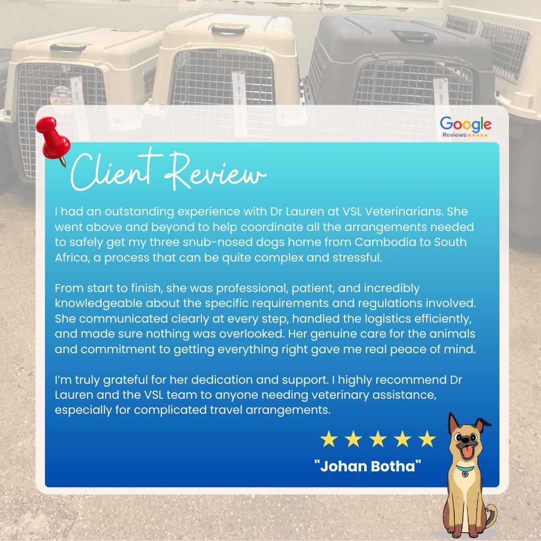 🌟Client Review Spotlight 🌟We’re always grateful when our amazing clients share their experiences with us.
Here’s what  Johan Botha  had to say about us.🔖Book your appointment:
🔗Link: https://ap-booking.vetstoria.com/booking/66b5d69745c87/?r=6
📞Phone: 023-986-640
📲WhatsApp: 017 464 681
📲Telegram: https://t.me/VSLveterinaryclinic
📍Visit us in BKK1: https://share.google/pglZkQrmunrFuLRKX
📱Join our VSL Telegram group: https://t.me/+5d7K4kN3Y0ljZTEy