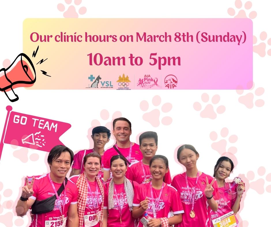 VSL will open at 10:00 AM tomorrow (Sunday, March 8th 2026).
Our veterinarians and vet nurses will be participating in the AIA Cambodia Women Run 10k.. If you spot them along the route, please give them a cheer! 🏃‍♂️🏃‍♀️💗🔖Book your appointment:
🔗Link: https://ap-booking.vetstoria.com/booking/66b5d69745c87/?r=6
📞Phone: 023-986-640
📲WhatsApp: 017 464 681
📲Telegram: https://t.me/VSLveterinaryclinic
📍Visit us in BKK1: https://share.google/pglZkQrmunrFuLRKX
📱Join our VSL Telegram group: https://t.me/+5d7K4kN3Y0ljZTEy~~~~VSL នឹងបើកដំណើរការនៅម៉ោង 10:00 ព្រឹក ថ្ងៃស្អែក (ថ្ងៃអាទិត្យ ទី 8 ខែមីនា ឆ្នាំ 2026)។វេជ្ជបណ្ឌិតសត្វ និងគិលានុបដ្ឋាយិកាសត្វរបស់យើង នឹងចូលរួមក្នុងកម្មវិធី AIA Cambodia Pink Run។ ប្រសិនបើអ្នកបានឃើញពួកគេនៅតាមផ្លូវរត់ សូមជួយលើកទឹកចិត្ត និងគាំទ្រពួកគេផង! 🏃‍♂️🏃‍♀️💗សូមអរគុណសម្រាប់ការយល់ដឹងរបស់អ្នក ហើយយើងរីករាយនឹងជួបអ្នកនៅគ្លីនិក។ 🐾🔖 កក់ពេលជួបរបស់អ្នក៖
🔗 តំណភ្ជាប់: https://ap-booking.vetstoria.com/booking/66b5d69745c87/?r=6
📞 ទូរស័ព្ទ: 023-986-640
📲 WhatsApp:+855 017 464 681
📲Telegram: https://t.me/VSLveterinaryclinic
📍 មកកាន់យើងនៅ BKK1: https://share.google/pglZkQrmunrFuLRKX
📱 ចូលរួមក្រុម VSL Telegram របស់យើង: https://t.me/+5d7K4kN3Y0ljZTEy