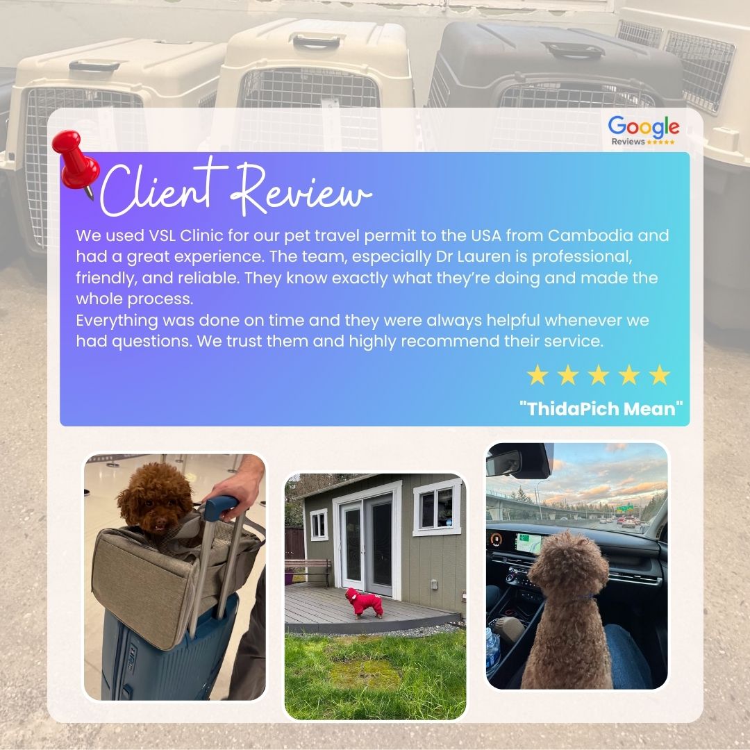 ✨ Client Review Spotlight ✨
Nothing makes us happier than seeing pets and their families travel safely and stress-free! 🐾✈️A huge thank you to ThidaPich Mean for trusting us with your pet’s journey from Cambodia to the USA. We’re grateful for your kind words and proud to have made the process smooth, timely, and worry-free. 💙At VSL Clinic, we’re committed to providing reliable, professional, and compassionate pet travel services every step of the way. 🐶🌍🔖Book your appointment:
🔗Link: https://ap-booking.vetstoria.com/booking/66b5d69745c87/?r=6
📞Phone: 023-986-640
📲WhatsApp: 017 464 681
📲Telegram: https://t.me/VSLveterinaryclinic
📍Visit us in BKK1: https://share.google/pglZkQrmunrFuLRKX
📱Join our VSL Telegram group: https://t.me/+5d7K4kN3Y0ljZTEy~~~~✨ ការលើកសរសើរពីមតិអតិថិជន ✨គ្មានអ្វីធ្វើឲ្យយើងរីករាយជាងការមើលឃើញសត្វចិញ្ចឹម និងគ្រួសាររបស់ពួកគេ ធ្វើដំណើរដោយសុវត្ថិភាព និងគ្មានស្ត្រេស! 🐾✈️សូមអរគុណយ៉ាងជ្រាលជ្រៅដល់ ThidaPich Mean ដែលបានជឿទុកចិត្តលើយើង ក្នុងការរៀបចំដំណើររបស់សត្វចិញ្ចឹមពីកម្ពុជា ទៅសហរដ្ឋអាមេរិក 🇺🇸💙យើងមានការដឹងគុណចំពោះពាក្យសរសើរដ៏កក់ក្តៅរបស់អ្នក ហើយមានមោទនភាពដែលអាចធ្វើឲ្យដំណើរការនេះ រលូន ទាន់ពេលវេលា និងគ្មានការព្រួយបារម្ភ។នៅ VSL Clinic យើងប្តេជ្ញាផ្តល់សេវាកម្មដឹកជញ្ជូនសត្វចិញ្ចឹម ដែលអាចទុកចិត្តបាន វិជ្ជាជីវៈ និងពោរពេញដោយការយកចិត្តទុកដាក់ ក្នុងរាល់ជំហាននៃដំណើរ 🐶🌍🔖 កក់ពេលជួបរបស់អ្នក៖
🔗 តំណភ្ជាប់: https://ap-booking.vetstoria.com/booking/66b5d69745c87/?r=6
📞 ទូរស័ព្ទ: 023-986-640
📲 WhatsApp:+855 017 464 681
📲Telegram: https://t.me/VSLveterinaryclinic
📍 មកកាន់យើងនៅ BKK1: https://share.google/pglZkQrmunrFuLRKX
📱 ចូលរួមក្រុម VSL Telegram របស់យើង: https://t.me/+5d7K4kN3Y0ljZTEy