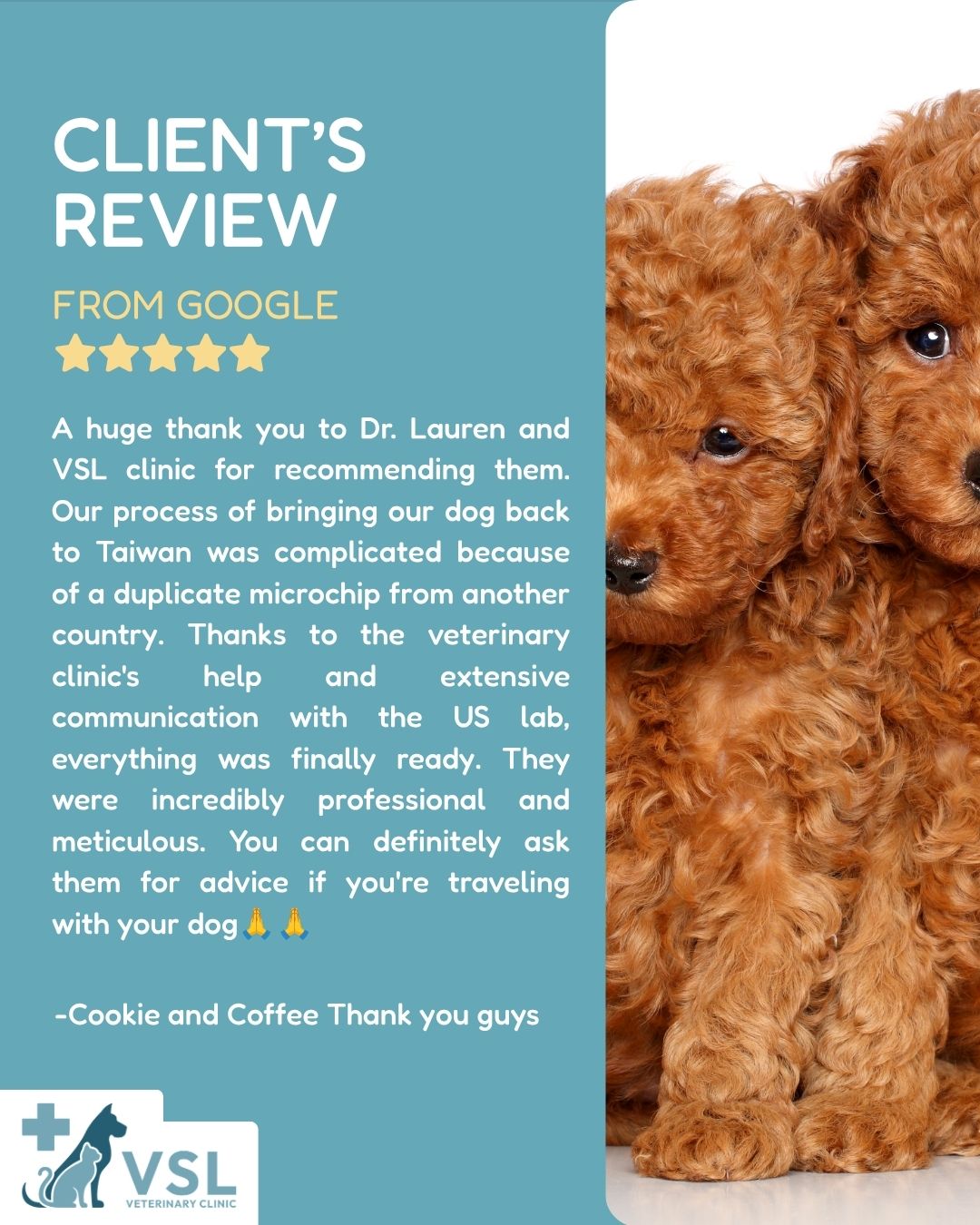 🌟 Client Review Spotlight🌟Nothing makes us happier than hearing from our amazing clients! 🌟 Thank you for your wonderful Google review and for choosing us. Your support inspires us every day.🔖Book your appointment:
🔗Link: https://ap-booking.vetstoria.com/booking/66b5d69745c87/?r=6
📞Phone: 023-986-640
📲WhatsApp: 017 464 681
📲Telegram: https://t.me/VSLveterinaryclinic
📍Visit us in BKK1: https://share.google/pglZkQrmunrFuLRKX
📱Join our VSL Telegram group: https://t.me/+5d7K4kN3Y0ljZTEy🔖 កក់ពេលជួបរបស់អ្នក៖
🔗 តំណភ្ជាប់: https://ap-booking.vetstoria.com/booking/66b5d69745c87/?r=6
📞 ទូរស័ព្ទ: 023-986-640
📲 WhatsApp:+855 017 464 681
📲Telegram: https://t.me/VSLveterinaryclinic
📍 មកកាន់យើងនៅ BKK1: https://share.google/pglZkQrmunrFuLRKX
📱 ចូលរួមក្រុម VSL Telegram របស់យើង: https://t.me/+5d7K4kN3Y0ljZTEy
~~~~🌟 Client Review Spotlight 🌟គ្មានអ្វីធ្វើឱ្យយើងរីករាយជាងការទទួលបានមតិយោបល់ដ៏ល្អពីអតិថិជនដ៏អស្ចារ្យរបស់យើង! 💙សូមអរគុណសម្រាប់ការចែករំលែកបទពិសោធន៍របស់អ្នកតាមរយៈ Google Review និងសម្រាប់ការជឿទុកចិត្តជ្រើសរើស VSL Veterinary Clinic។ពាក្យលើកទឹកចិត្ត និងការគាំទ្ររបស់អ្នក គឺជាកម្លាំងចិត្តដែលជំរុញឱ្យយើងបន្តផ្តល់សេវាកម្មល្អបំផុតជារៀងរាល់ថ្ងៃ។ 🐾✨