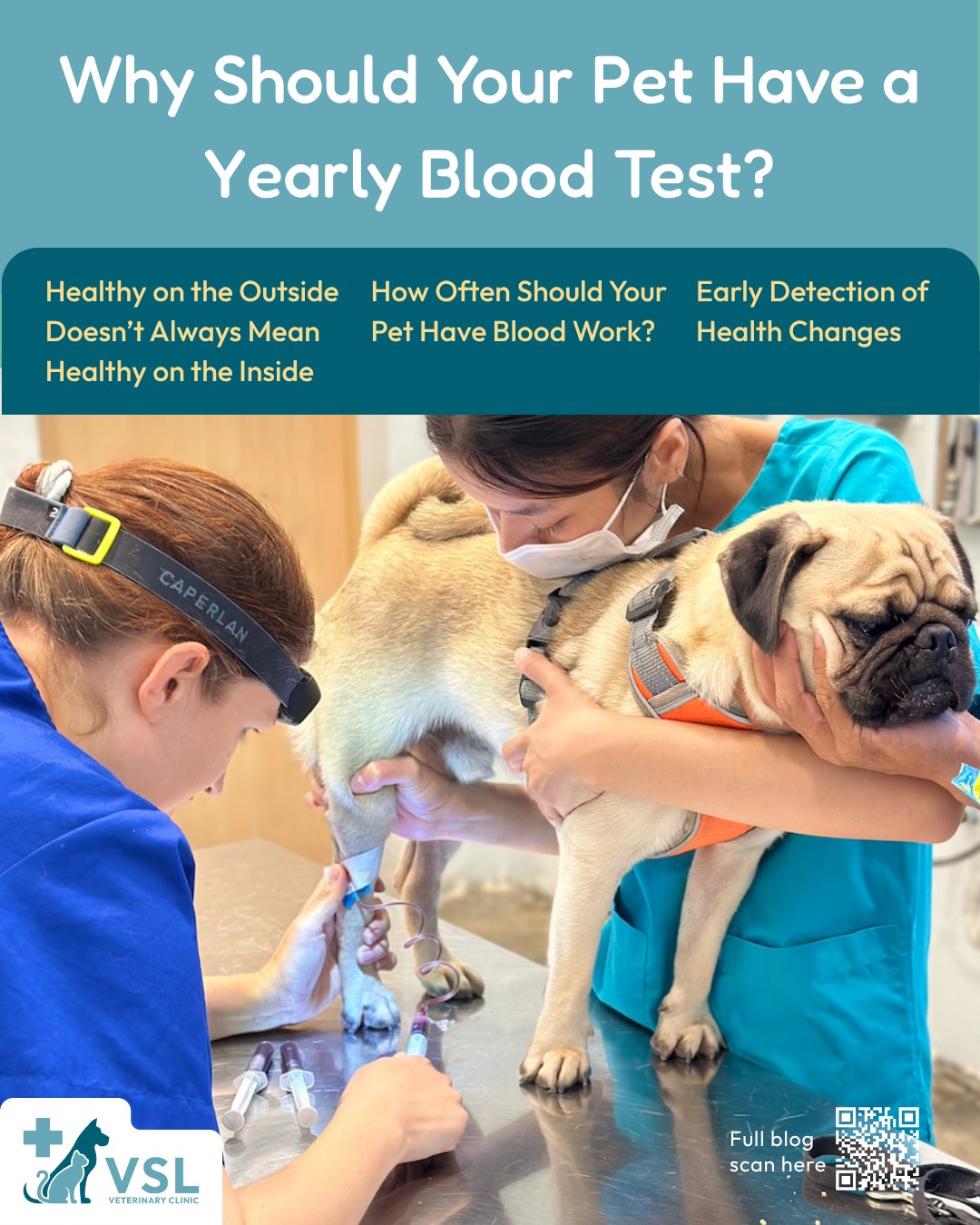 🐾 Here’s a helpful blog from our Vet Nurse, Yousia, as she shares the importance of yearly blood testing and what your pet’s blood results can tell us about their overall health. 🩸🐾A complete blood count (CBC) is an important part of preventive care and can help monitor your pet’s health even when they appear perfectly healthy on the outside. 💙Read the full blog by scanning the QR code or clicking the link below: https://vslveterinary.com/blog/🔖Book your appointment:
🔗Link: https://ap-booking.vetstoria.com/booking/66b5d69745c87/?r=6
📞Phone: 023-986-640
📲WhatsApp: 017 464 681
📲Telegram: https://t.me/VSLveterinaryclinic
📍Visit us in BKK1: https://share.google/pglZkQrmunrFuLRKX
📱Join our VSL Telegram group: https://t.me/+5d7K4kN3Y0ljZTEy~~~🩸🐾 ស្វែងយល់អំពីសារៈសំខាន់នៃការពិនិត្យឈាមប្រចាំឆ្នាំសម្រាប់សត្វចិញ្ចឹម! 💙នេះជាអត្ថបទប្លក់ដ៏មានប្រយោជន៍ពី Vet Nurse Yousia ដែលចែករំលែកអំពីសារៈសំខាន់នៃការពិនិត្យឈាមជារៀងរាល់ឆ្នាំ និងអ្វីដែលលទ្ធផលឈាមអាចប្រាប់យើងអំពីសុខភាពទូទៅរបស់សត្វចិញ្ចឹមរបស់អ្នក។ 🐶🐱🩸 Complete Blood Count (CBC) គឺជាផ្នែកសំខាន់មួយនៃការថែទាំសុខភាពបង្ការ។ វាអាចជួយឱ្យក្រុមពេទ្យតាមដានសុខភាពរបស់សត្វចិញ្ចឹម និងរកឃើញភាពមិនប្រក្រតីមួយចំនួនបានទាន់ពេលវេលា ទោះបីសត្វរបស់អ្នកមើលទៅមានសុខភាពល្អពីខាងក្រៅក៏ដោយ។ 💙📖 អានអត្ថបទពេញ ដោយស្កេន QR Code ឬចុចតំណខាងក្រោម៖
👉 https://vslveterinary.com/blog/🐾 ការពិនិត្យសុខភាពជាប្រចាំ អាចជួយឱ្យយើងយល់ដឹងកាន់តែច្បាស់អំពីសុខភាពសត្វចិញ្ចឹមរបស់អ្នក និងផ្តល់ការថែទាំបានទាន់ពេលវេលា។ ❤️🔖 កក់ពេលជួបរបស់អ្នក៖
🔗 តំណភ្ជាប់: https://ap-booking.vetstoria.com/booking/66b5d69745c87/?r=6
📞 ទូរស័ព្ទ: 023-986-640
📲 WhatsApp:+855 017 464 681
📲Telegram: https://t.me/VSLveterinaryclinic
📍 មកកាន់យើងនៅ BKK1: https://share.google/pglZkQrmunrFuLRKX
📱 ចូលរួមក្រុម VSL Telegram របស់យើង: https://t.me/+5d7K4kN3Y0ljZTEy